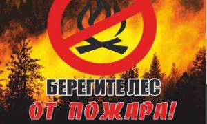 Берегите лес от пожаров
